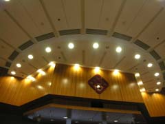 DSCN5095