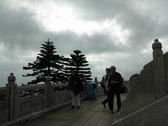 DSCN5129