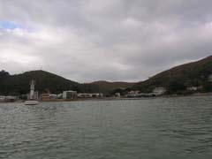 DSCN5206